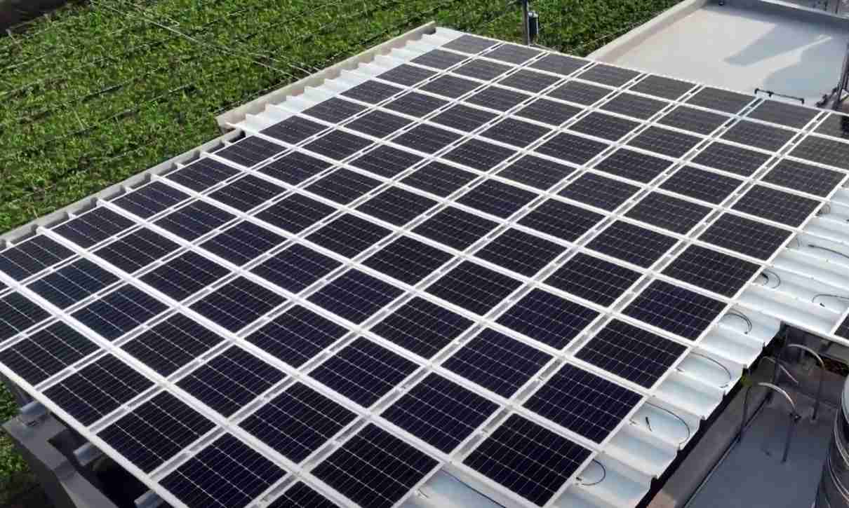 彩神vllSunSteel光电浪板升级双玻结构，，以提升机械负载强度及气候耐候度，，，可广泛运用于多元场域